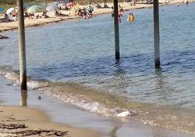 Χαμός στις παραλίες της Ξάνθης ακόμα και το κιόσκι μπήκε στην θάλασσα… να δροσιστεί… (φώτο)
