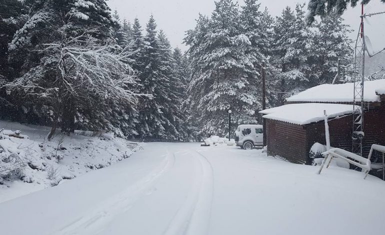 Κάτασπρο από το χιόνι και πάλι το δασικό χωριό Ξάνθης (μαγικές φωτογραφίες)